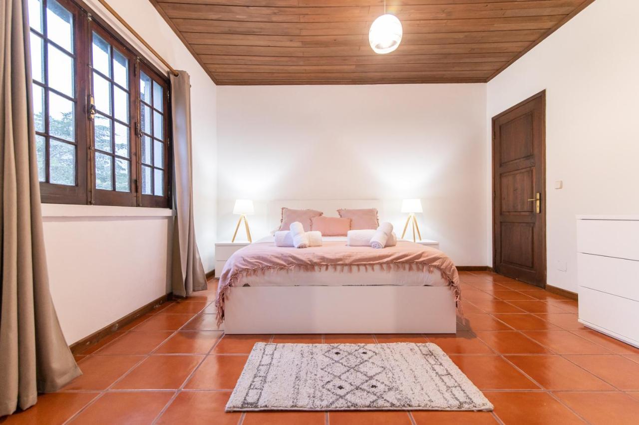 Villa Casa Do Pinheiro With Shared Swimming Pool São Vicente Ferreira Esterno foto